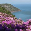 South West Coastal Path