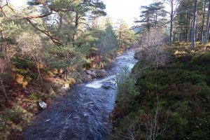 Glen Tanar